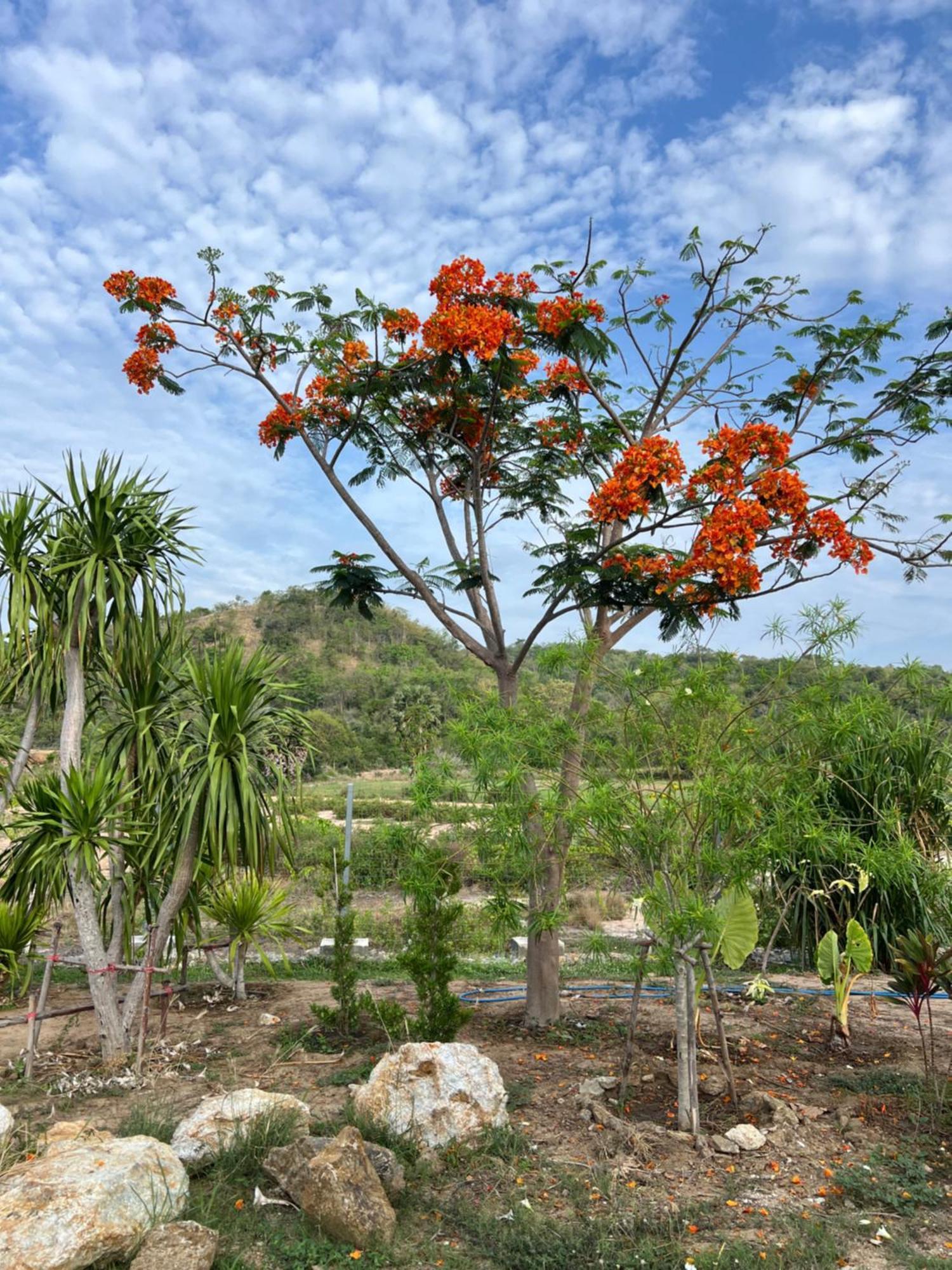Baan Mahasamut Pranburi Sam Roi Yot