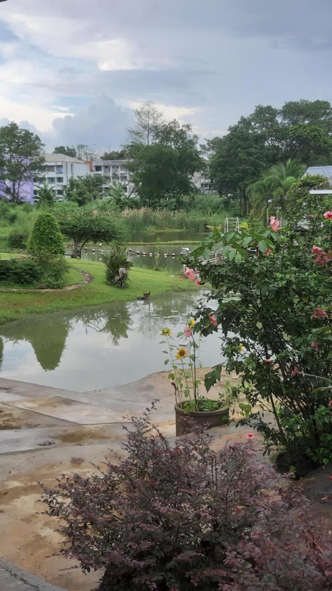 Korp View House 4*