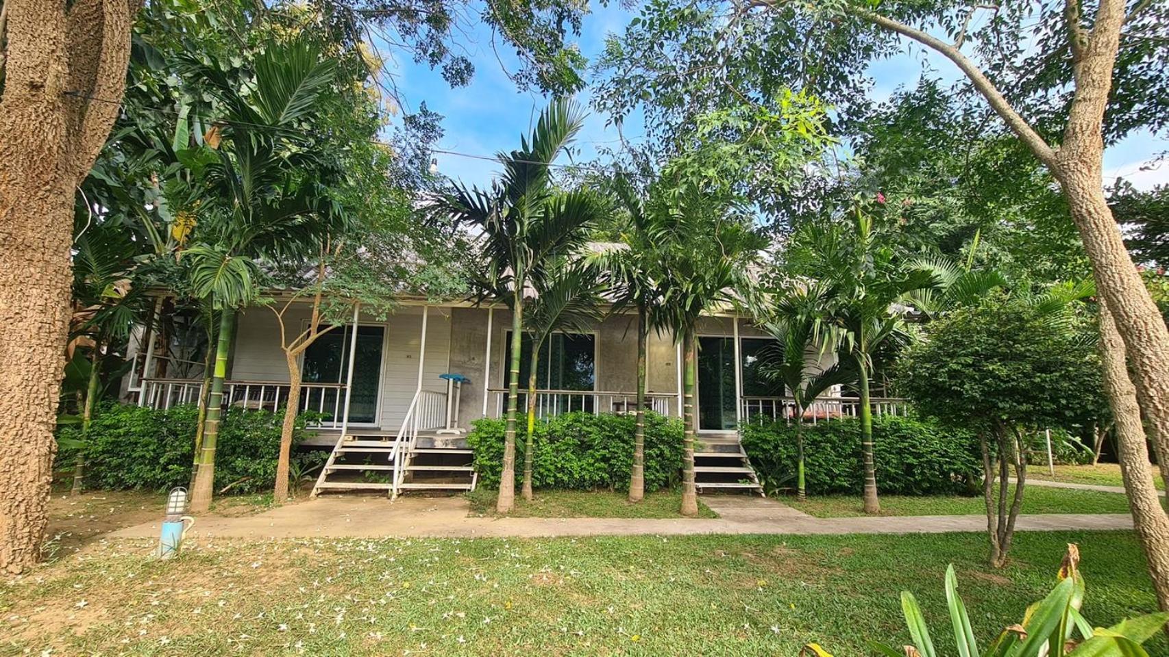 Canary Guest house
