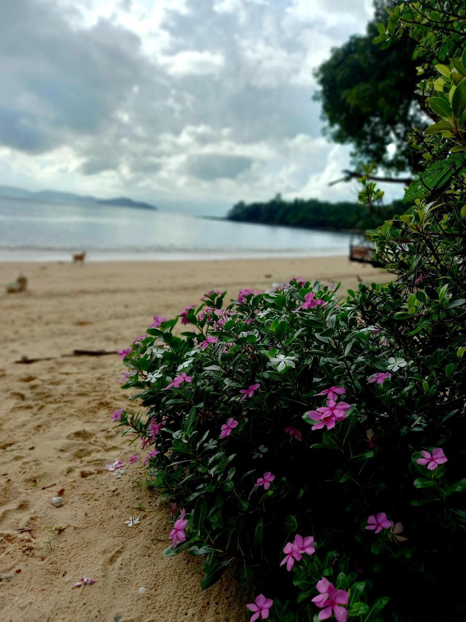 Sabai Sabai Lodge Koh Phayam