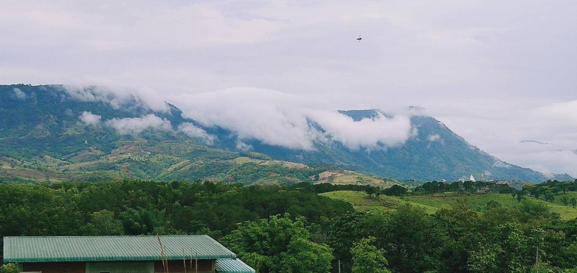 Overview *