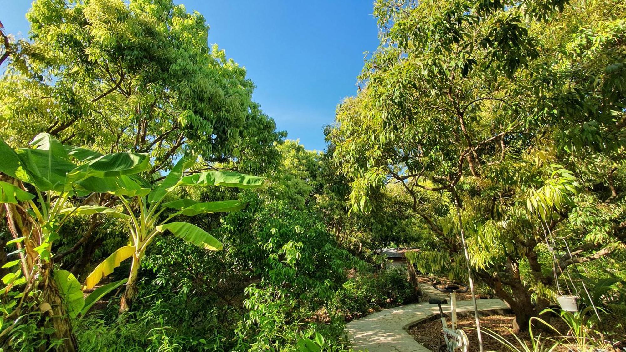 Warakorn Baansuan