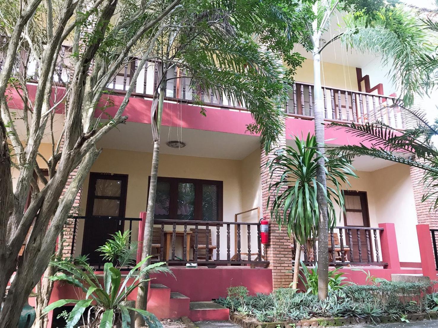 Hotel Jungle Hut & 2*
