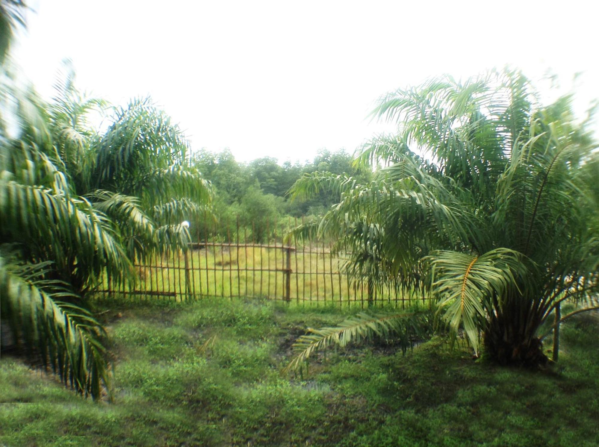 Yaoisland And Farm