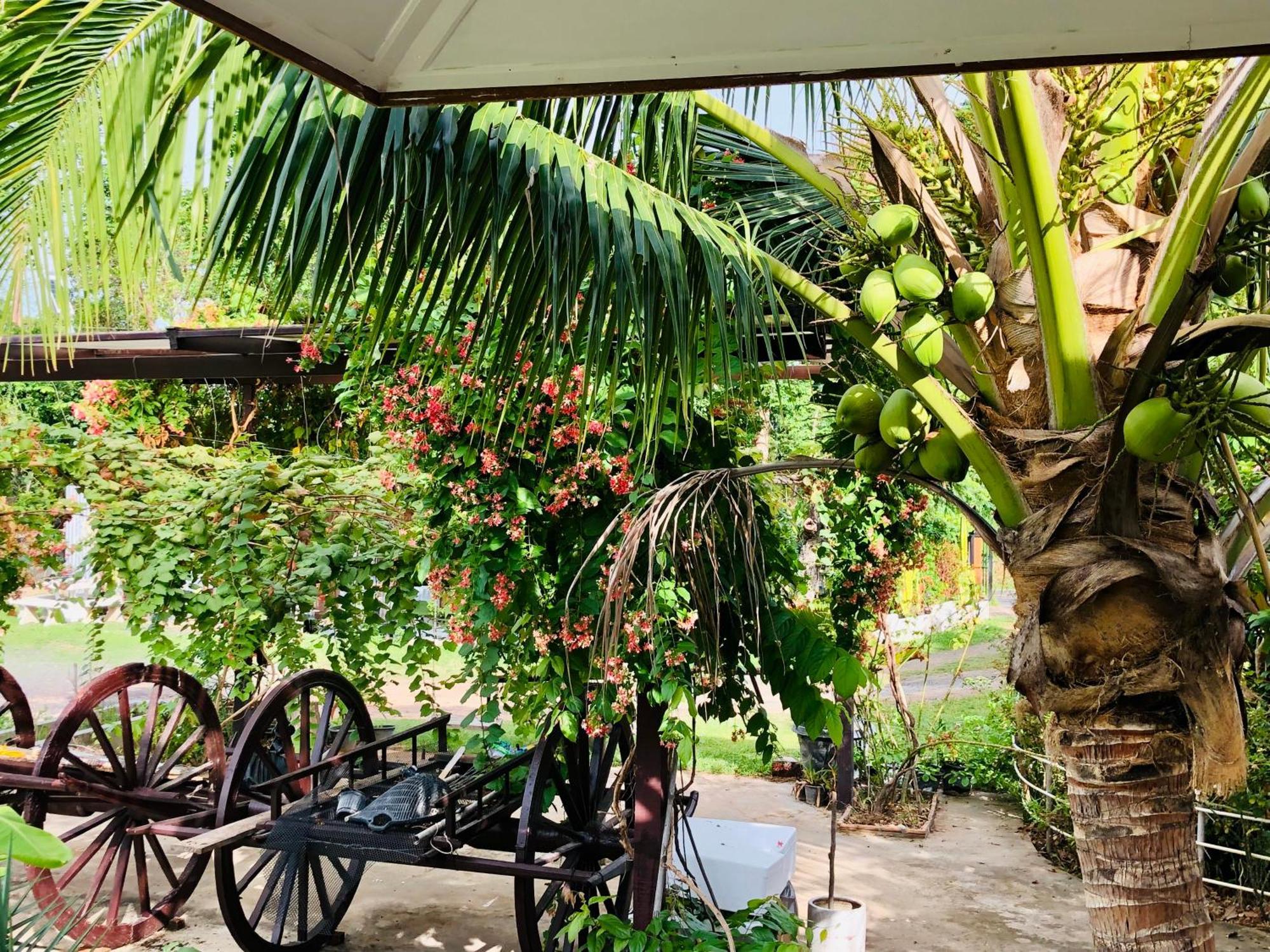 Resort Baan Thung Prasat