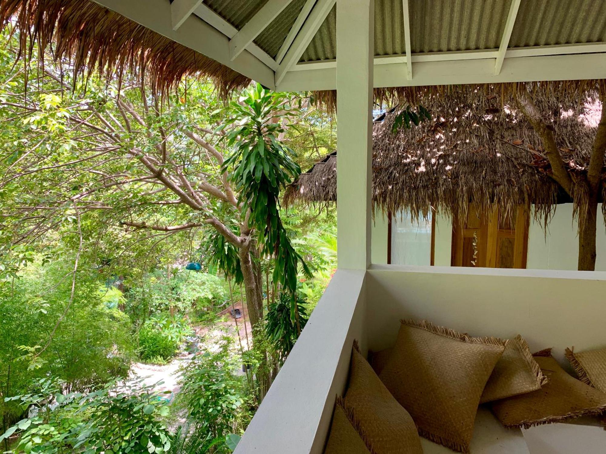 Coconut Country house *