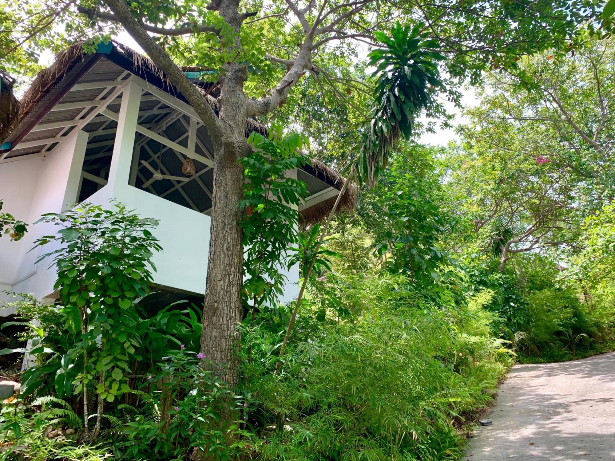 Coconut Country house