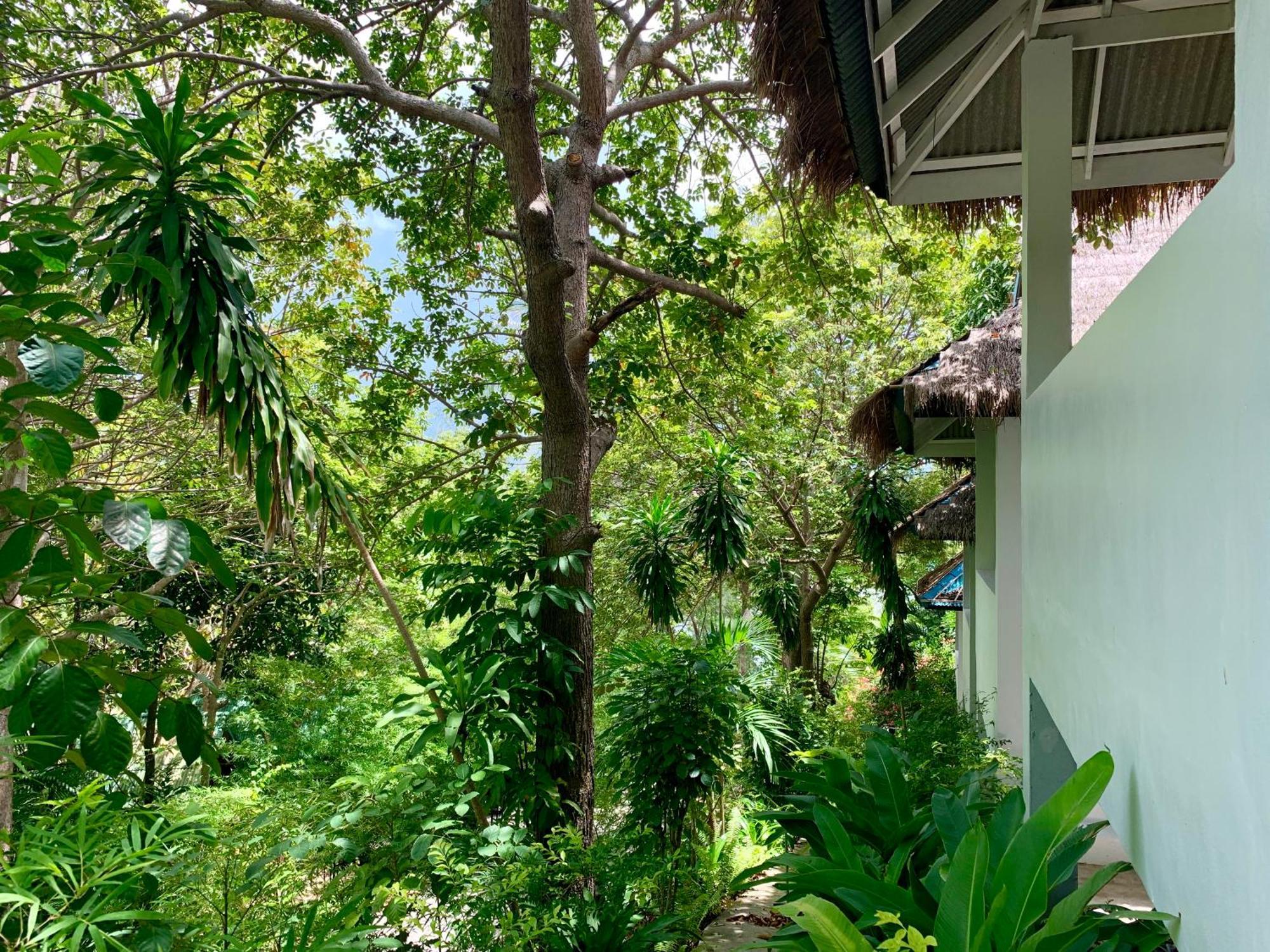 Coconut Country house *