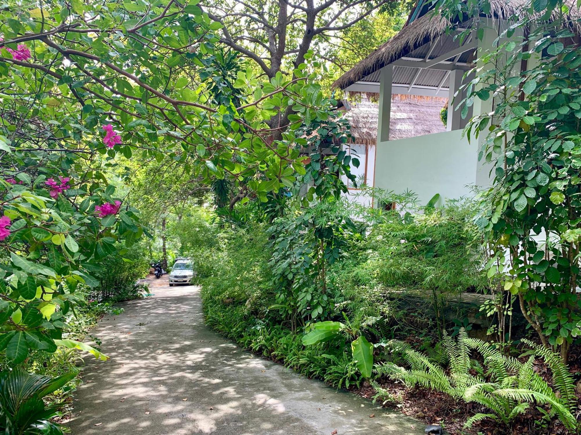 Coconut Country house *