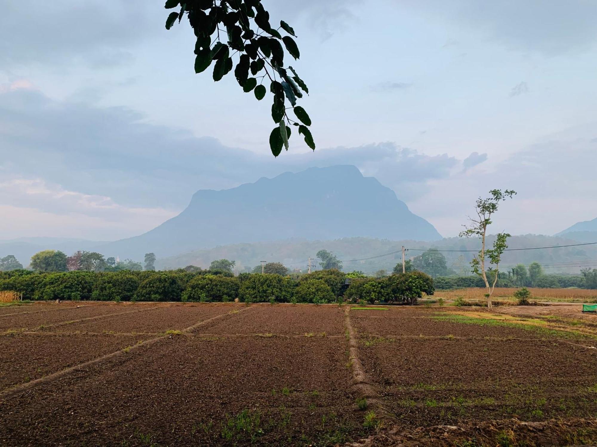 Krathom Doi Luang Resort