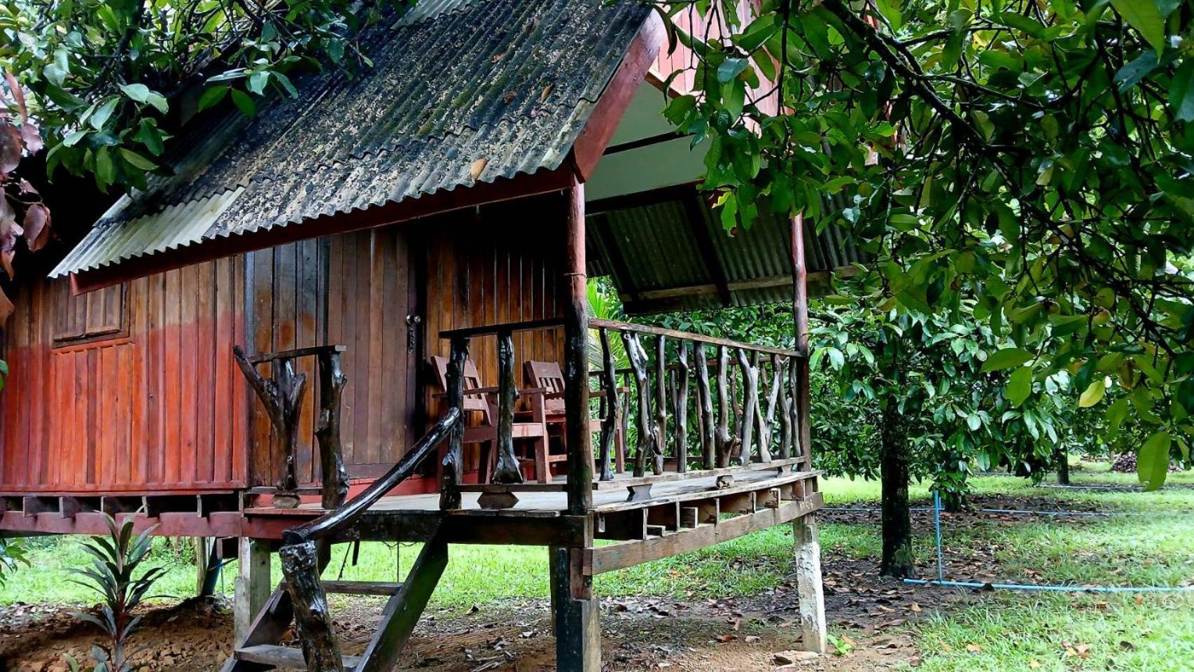 Bamboo House 2*