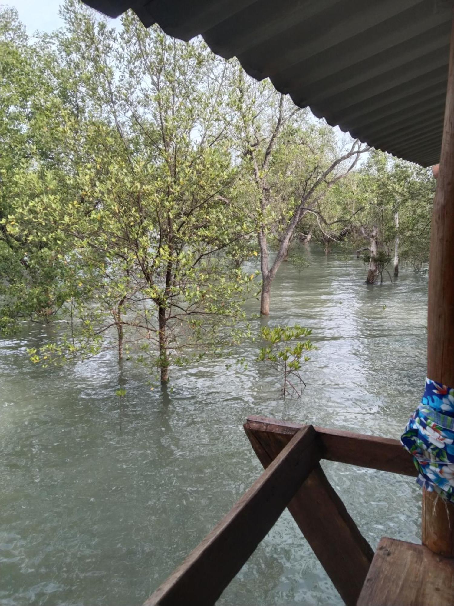 บ้านปู