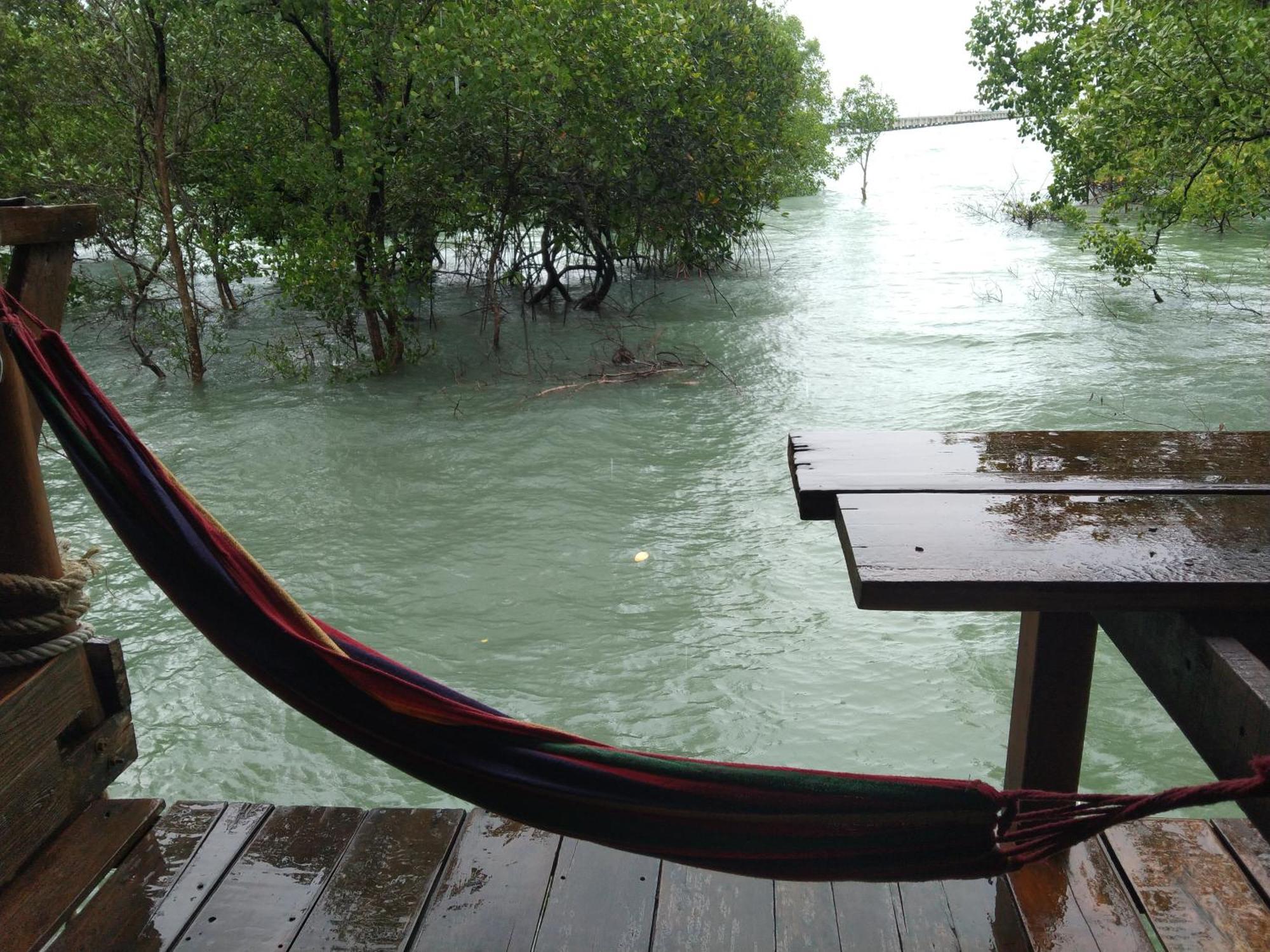 Homestay บ้านปู