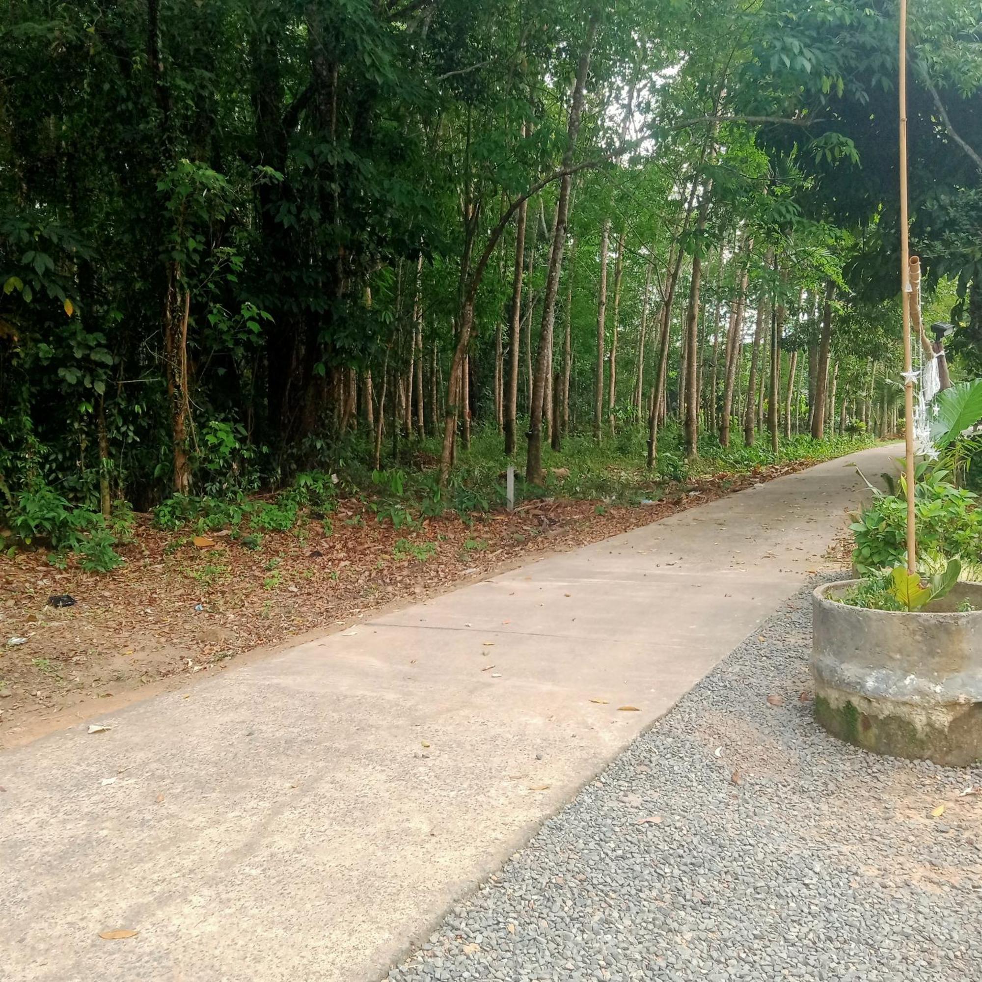Mateoasis Homestay