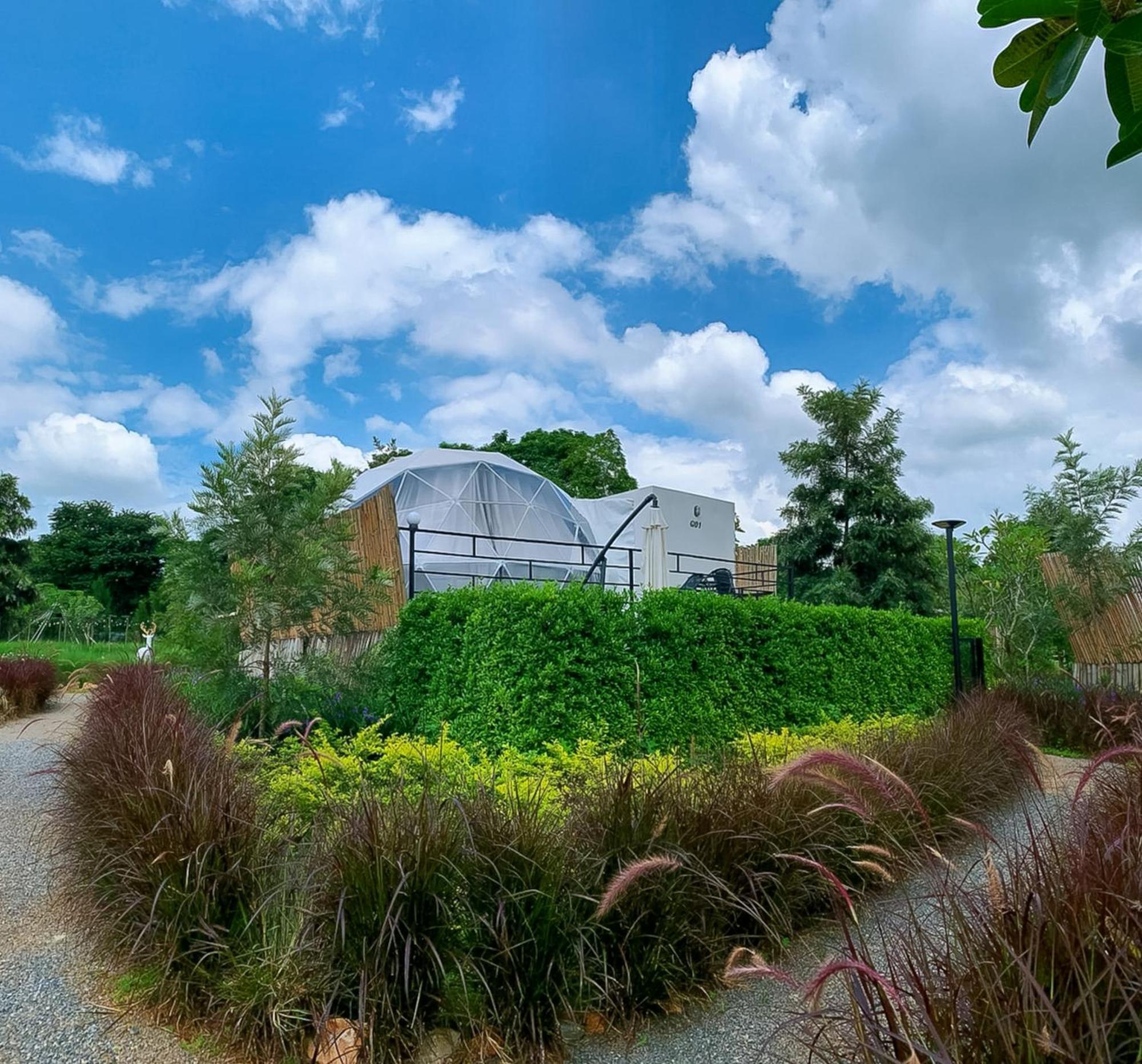 Glamping Hill Khaoyai Campsite