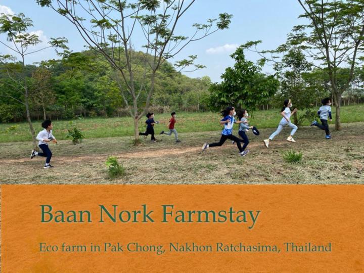 Baan Nork บ้านนอก Nong Nam Daeng