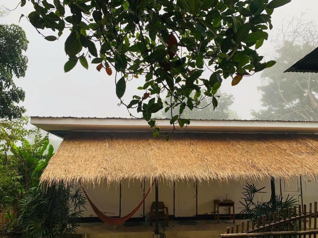 Guest house Yard Pai