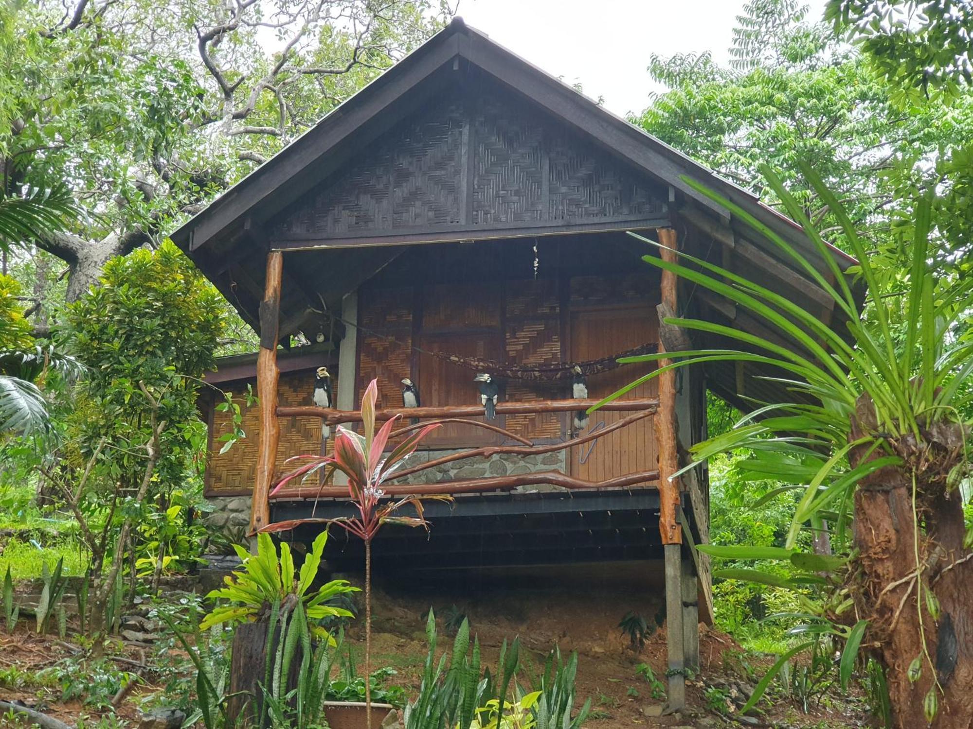 Littleduck Koh Chang Ranong