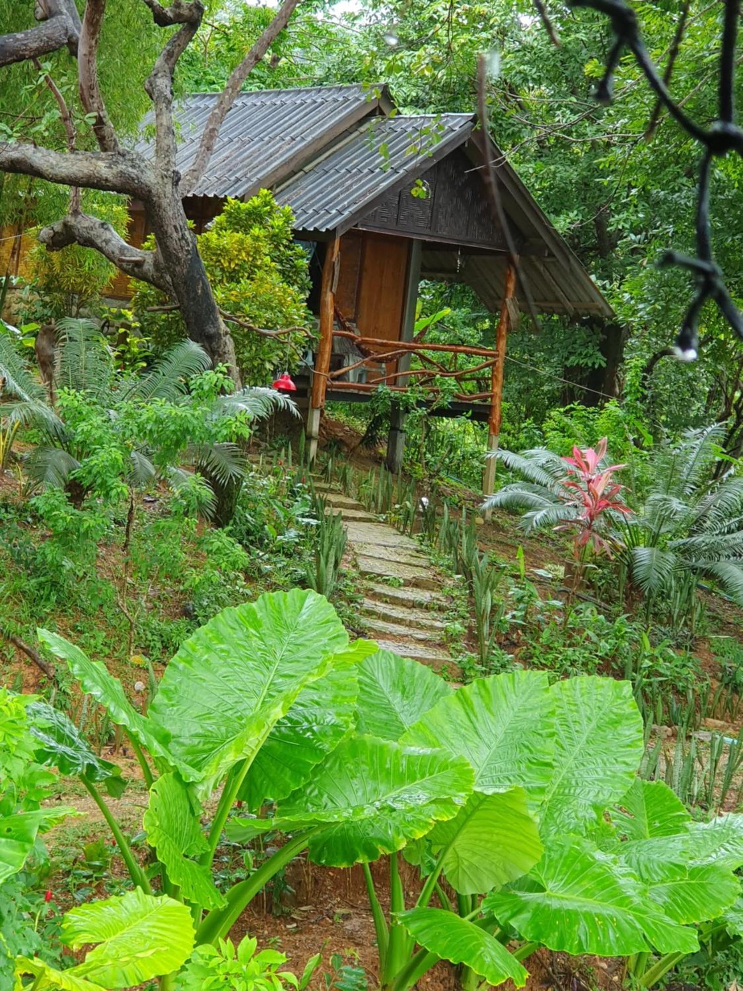 Littleduck Holiday home