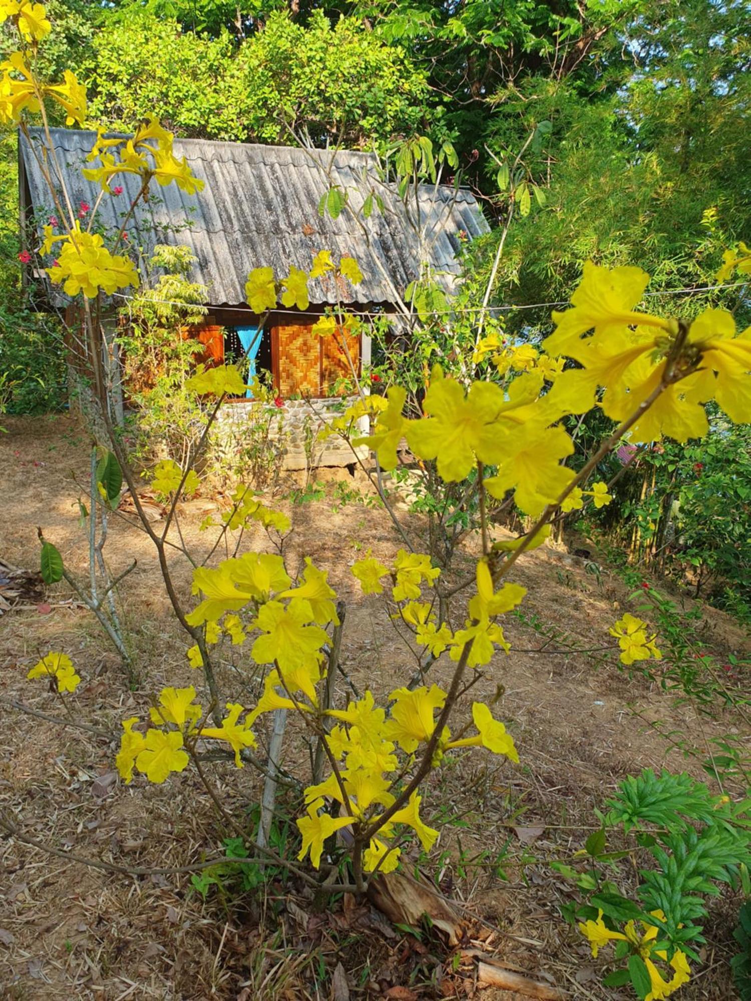 Littleduck Holiday home