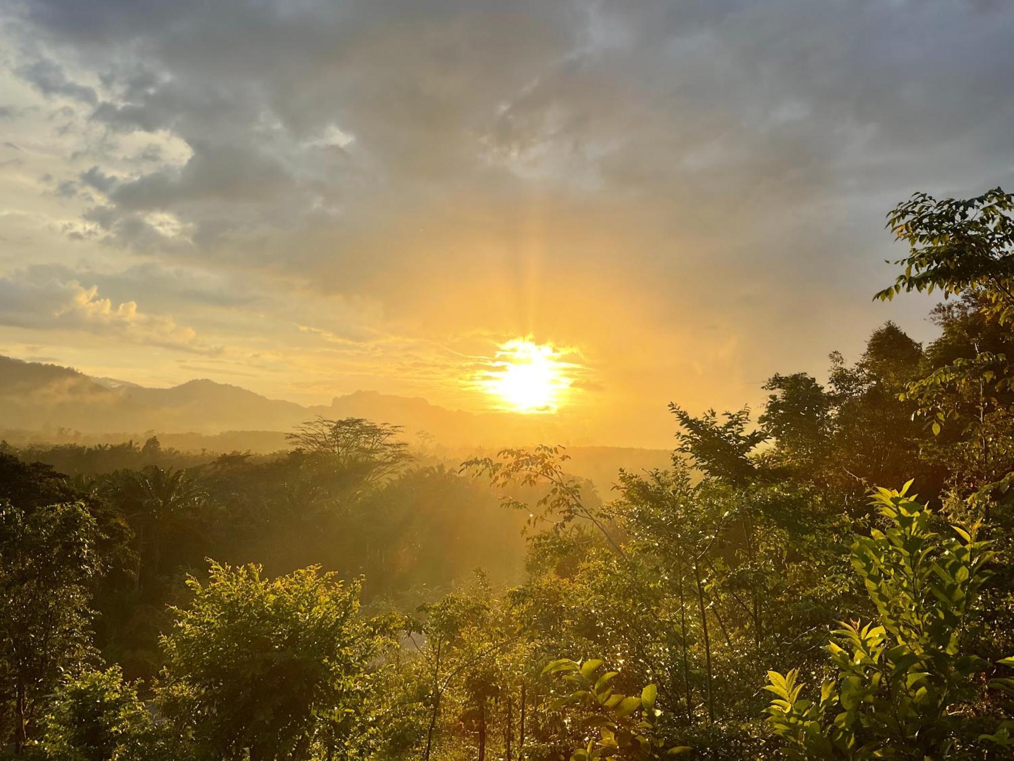Khao Sok Horizon 2*