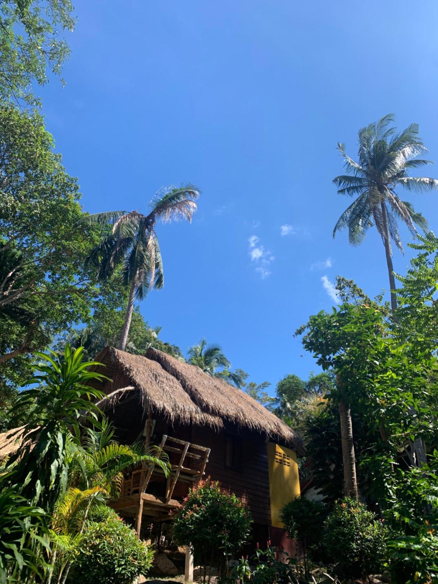 Little Eden Resort 3*