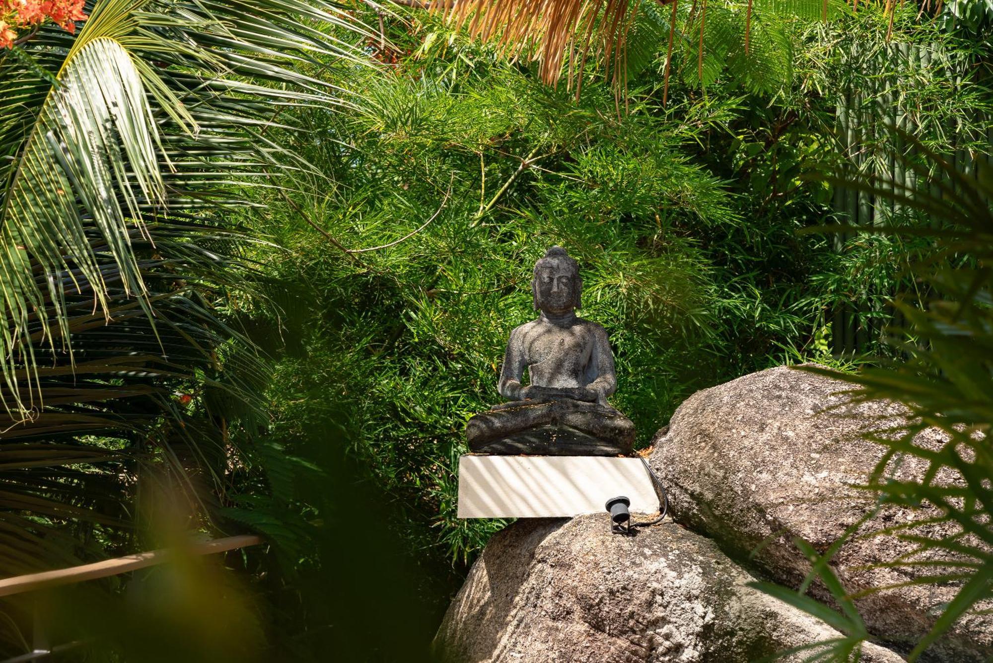 Wild Luxury And Natural - Sha Extra Certified (adults Only)