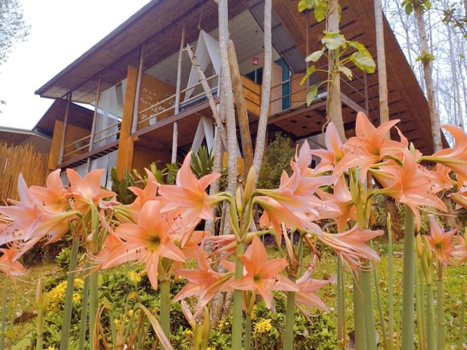 Resort De Panna And
