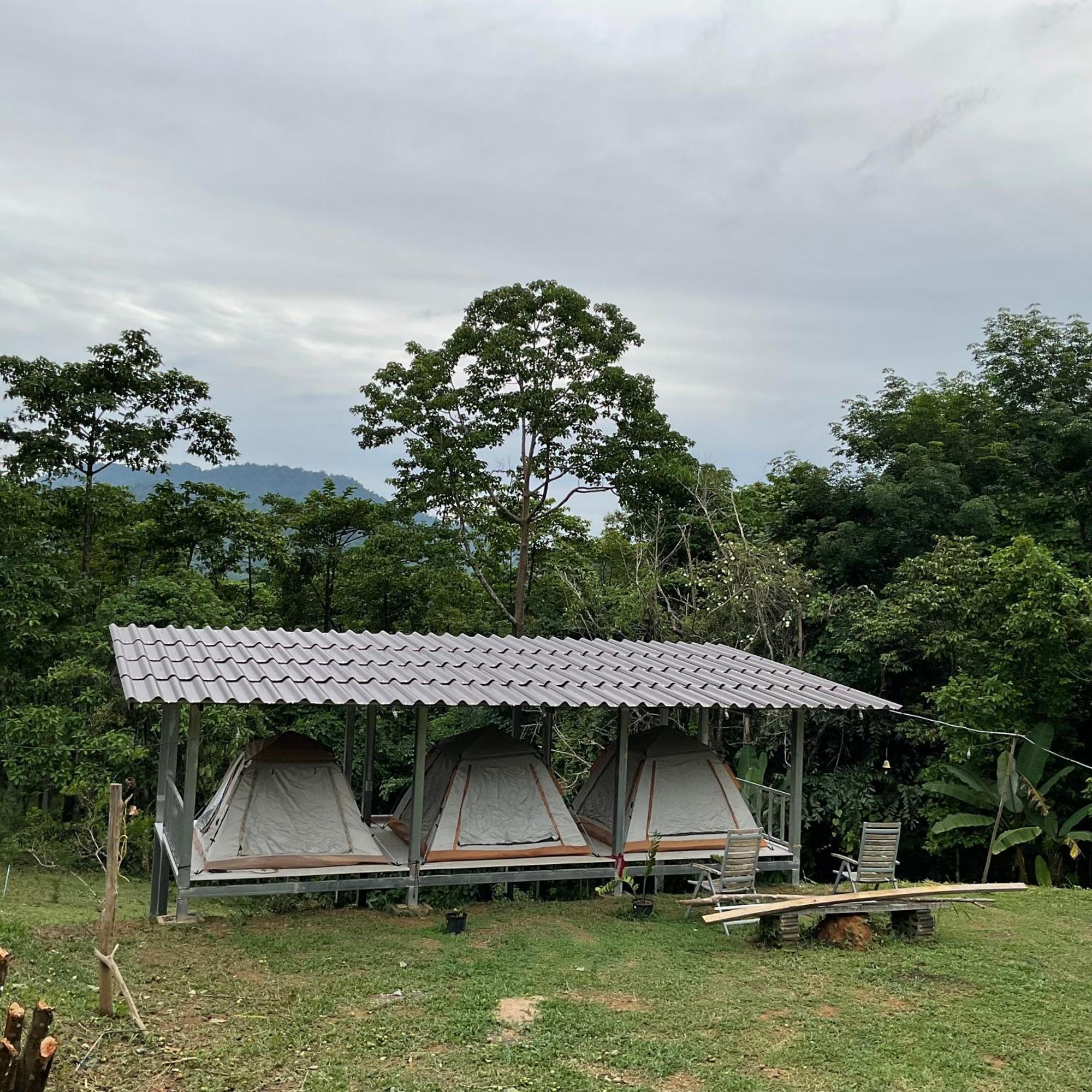 Resort Khao Sok Hill 2*
