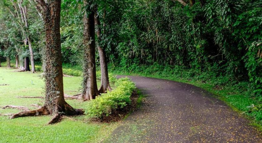 Resort Lanna Chiang Mai 3*
