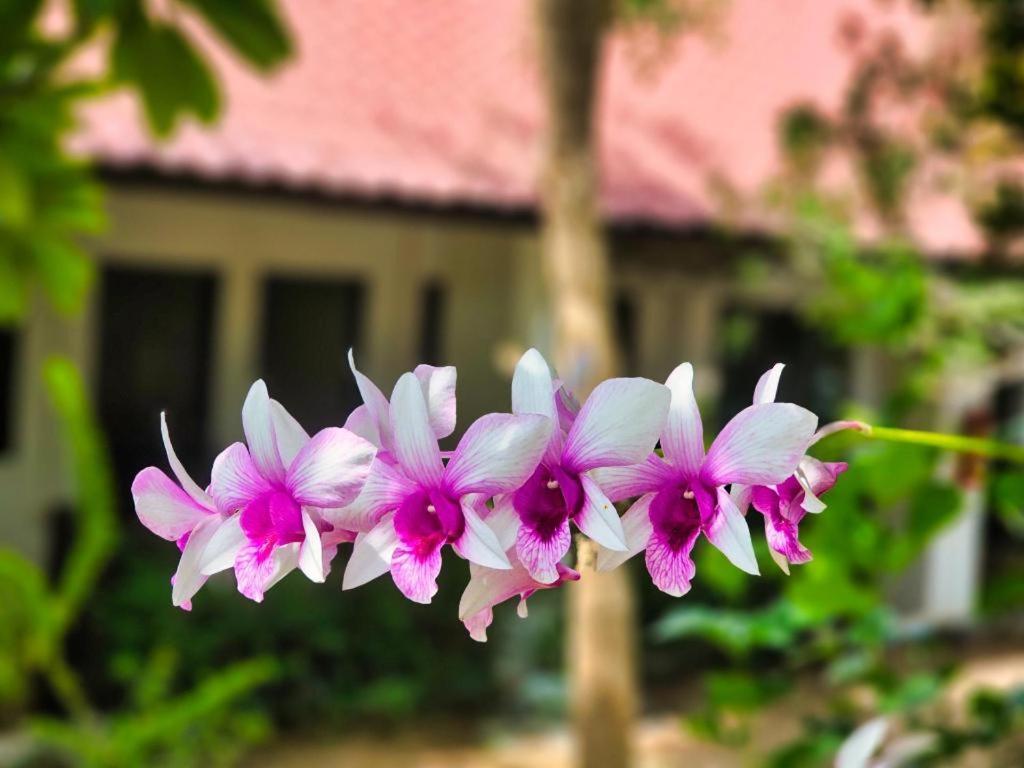 Baan Kiangnam Pattaya 2*