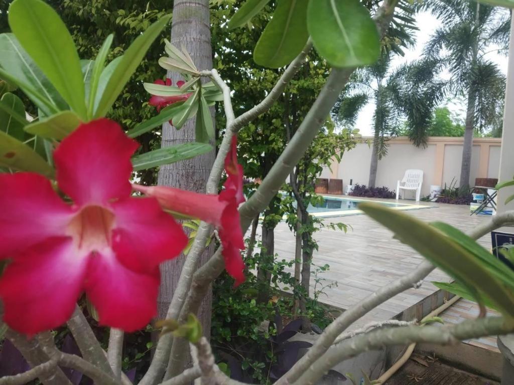Garden Resort