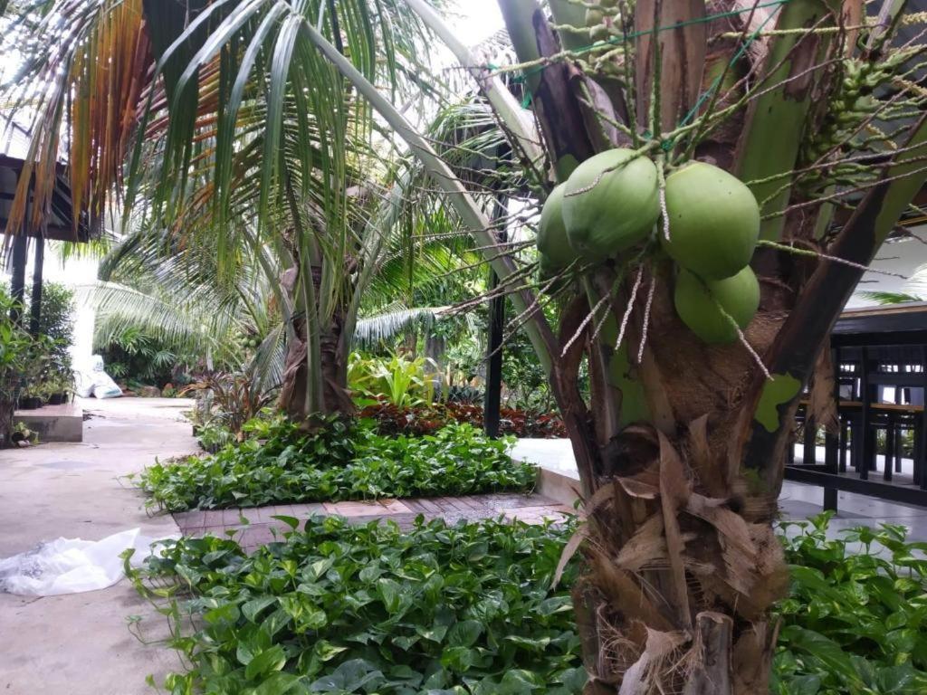 Garden Resort 3*