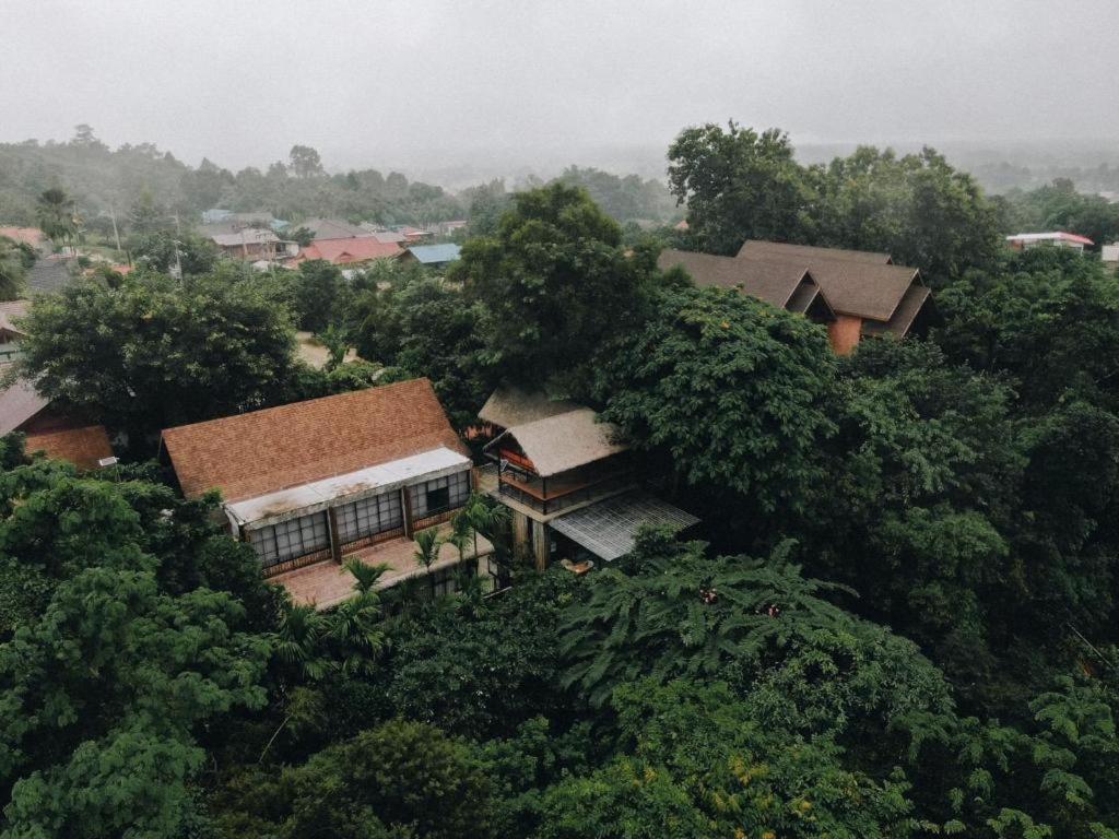 Cocoa Valley Pua
