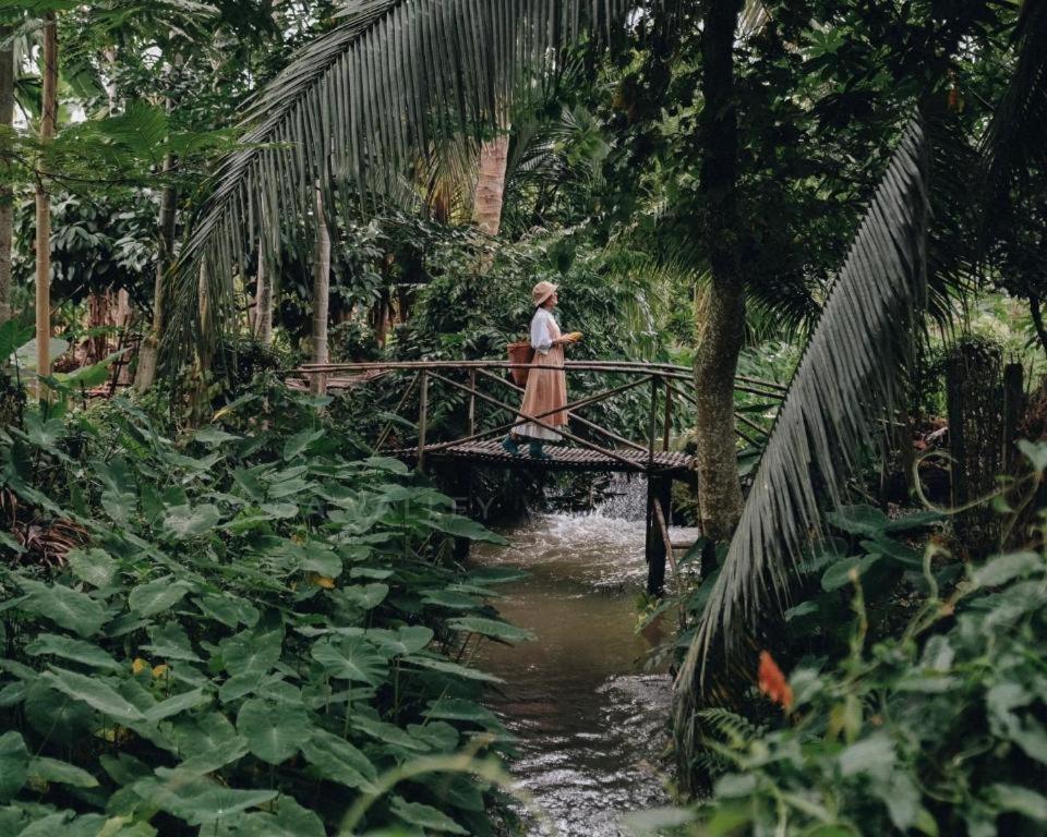 Cocoa Valley Resort Pua