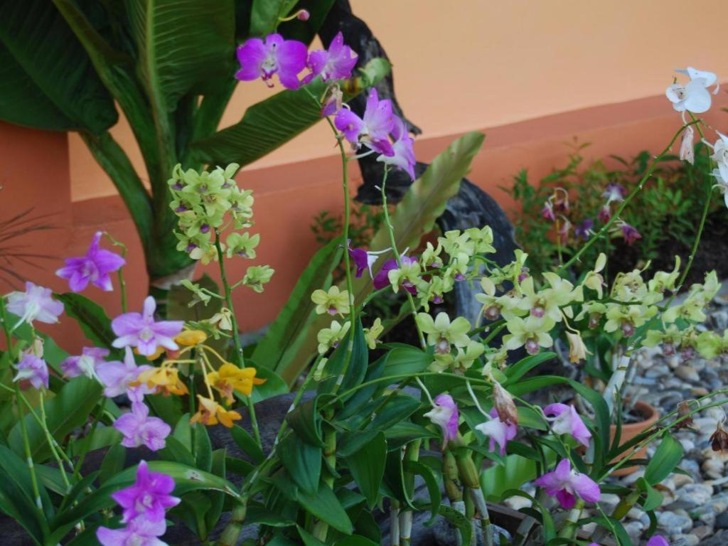 Tamali Resort 3*