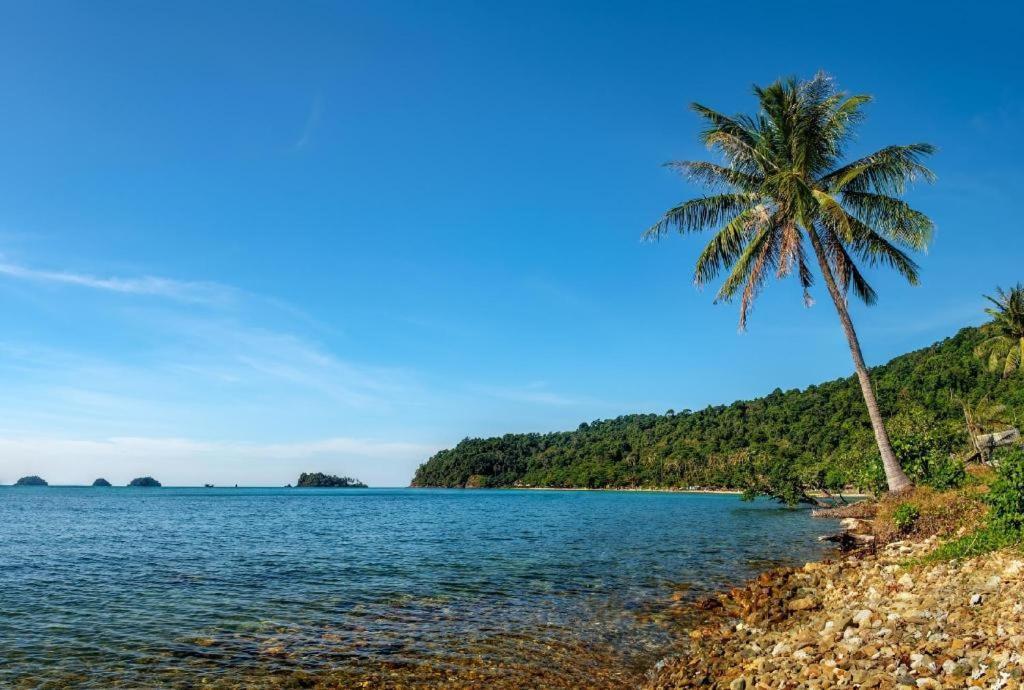 Warapura