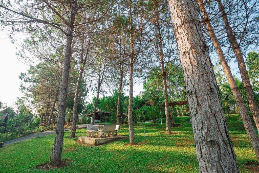 Raisongrao Khao Kho