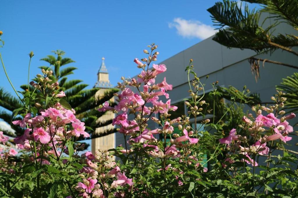 Resort Breeze Hill