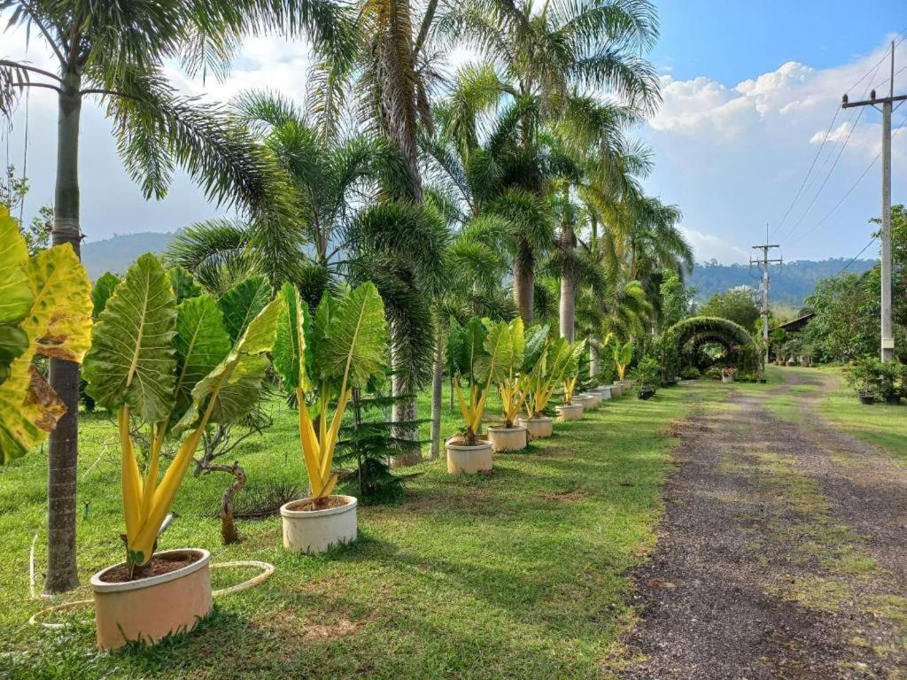 Nicslongstay 3* Wang Nam Khiao