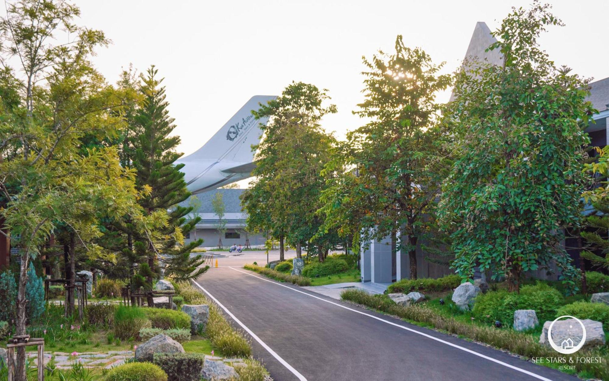 Stars & Forest Resort