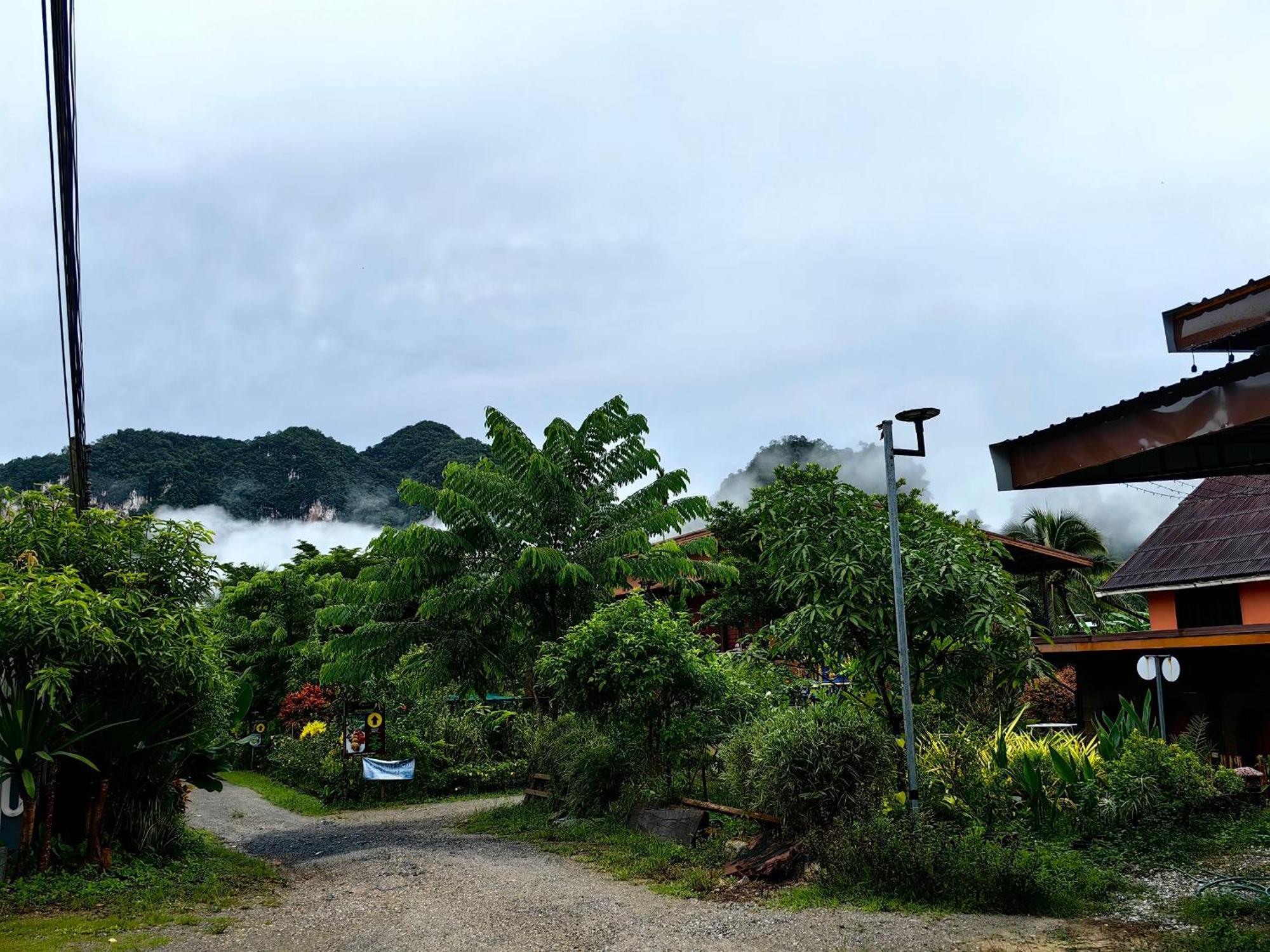 Khao Sok Country Hotel 2*