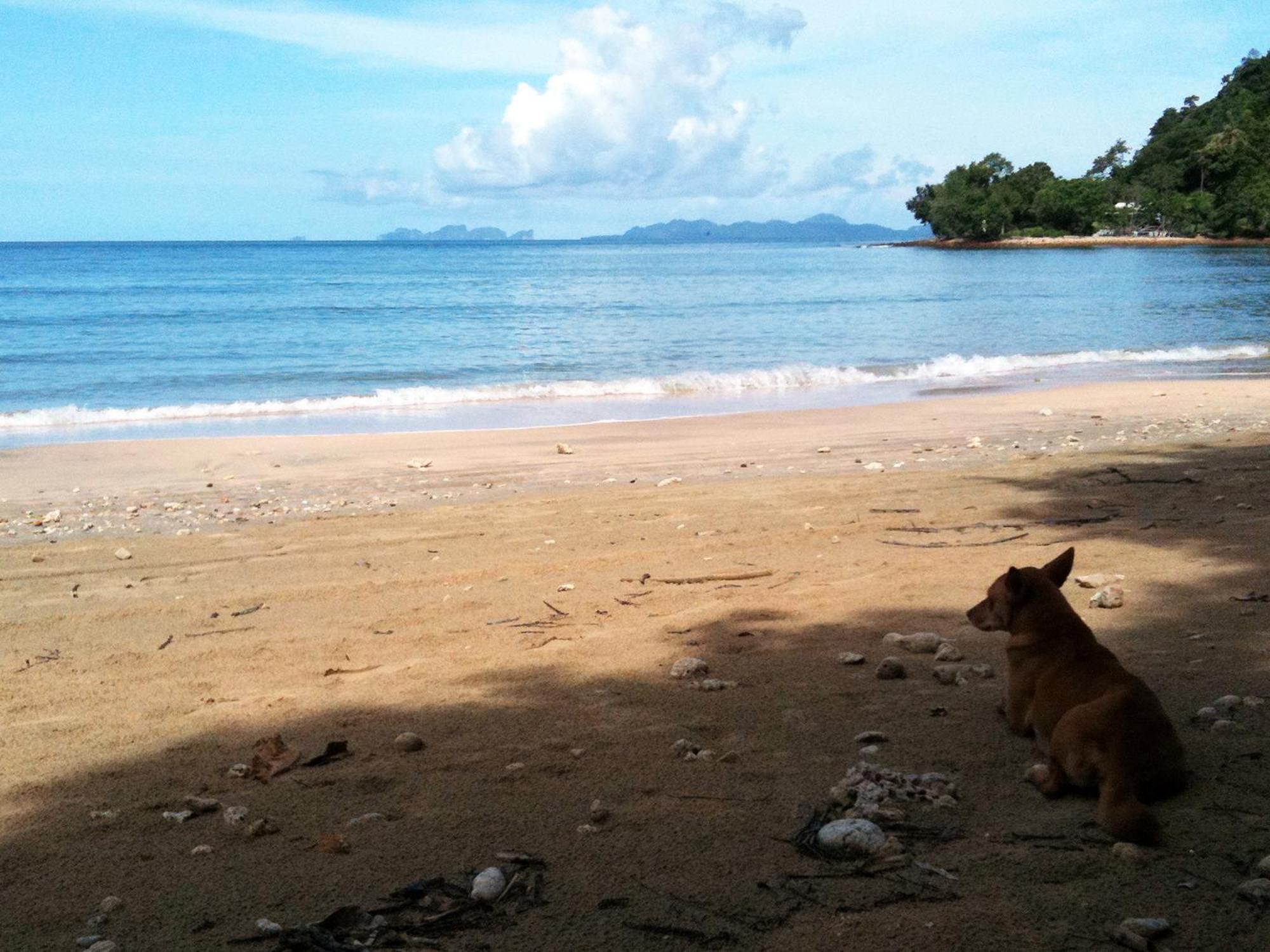 Bonhomie Guest house Koh Jum
