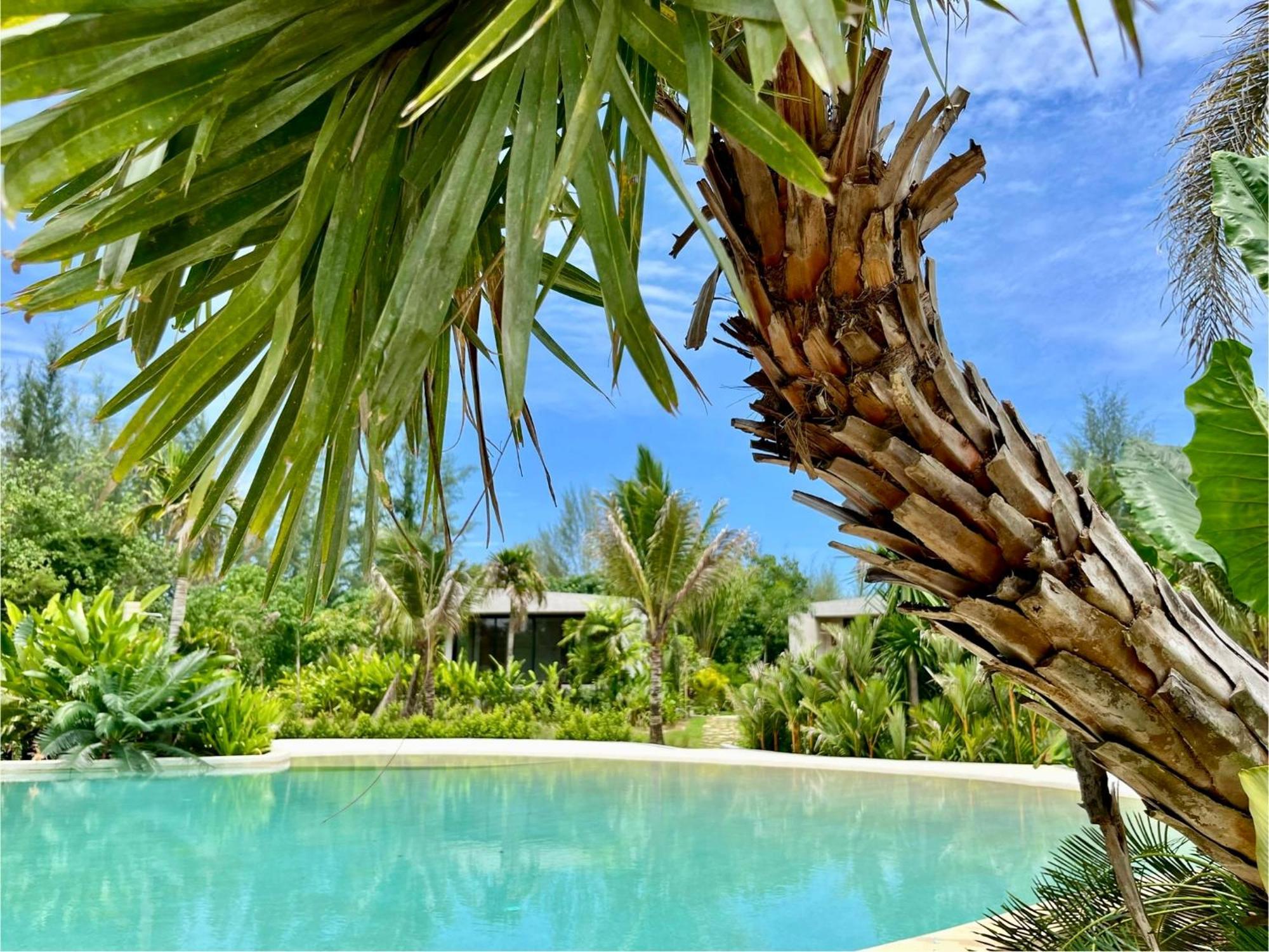 Cape Pakarang Wow Wild Wellness Escapes Hotel