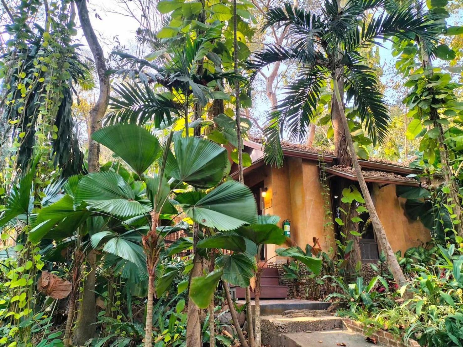 Resort Wanathara 3*
