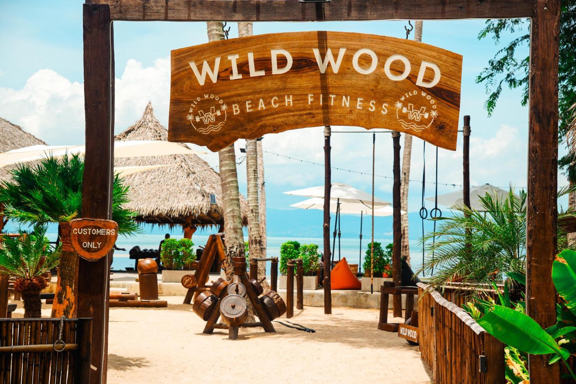Wild Wood X Hansa Fitness