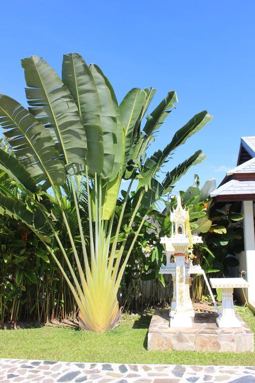 Guest house Colina And - Adults Only
