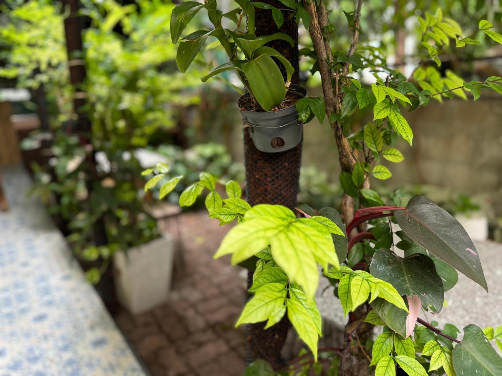 Retro At Phra Sing Guest house