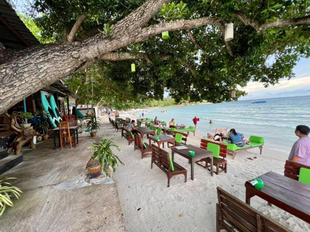 Greenplace-samed Seahorse 2*