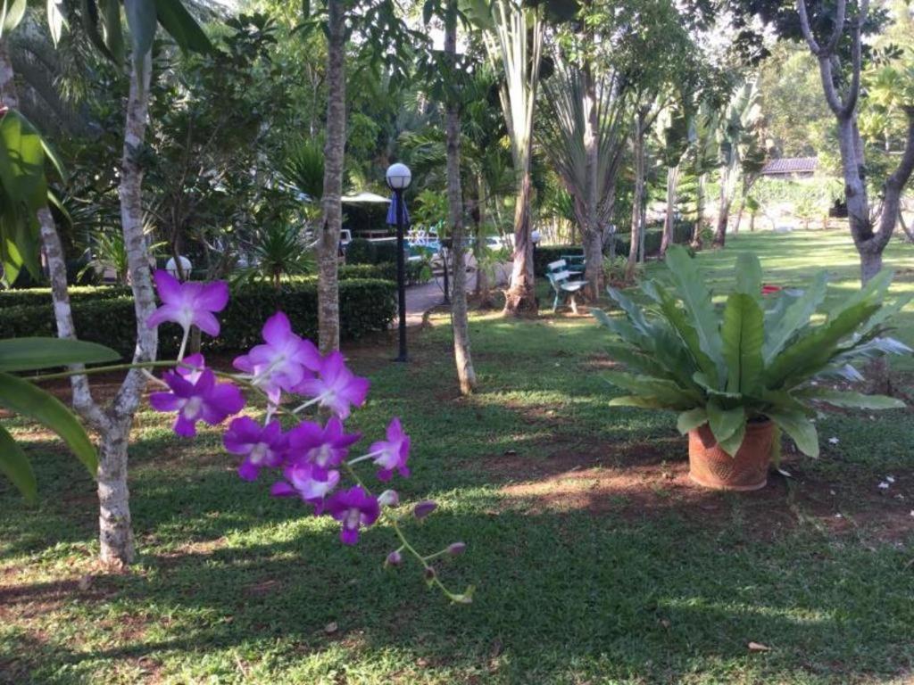 Hotel Wild Orchid Krabi 3*